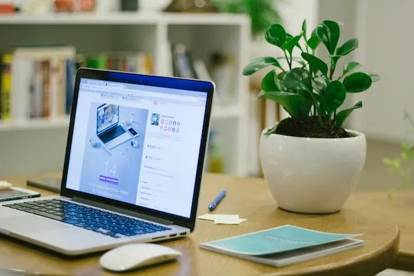 white-space-in-the-layout-of-a-site